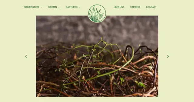 Landingpage der Website Blumen Kolb